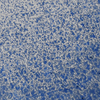 water-media-image-3